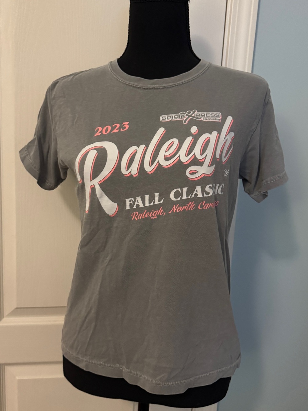 Raleigh 2023 Fall Classic Girls Gray T‑Shirt Size Large